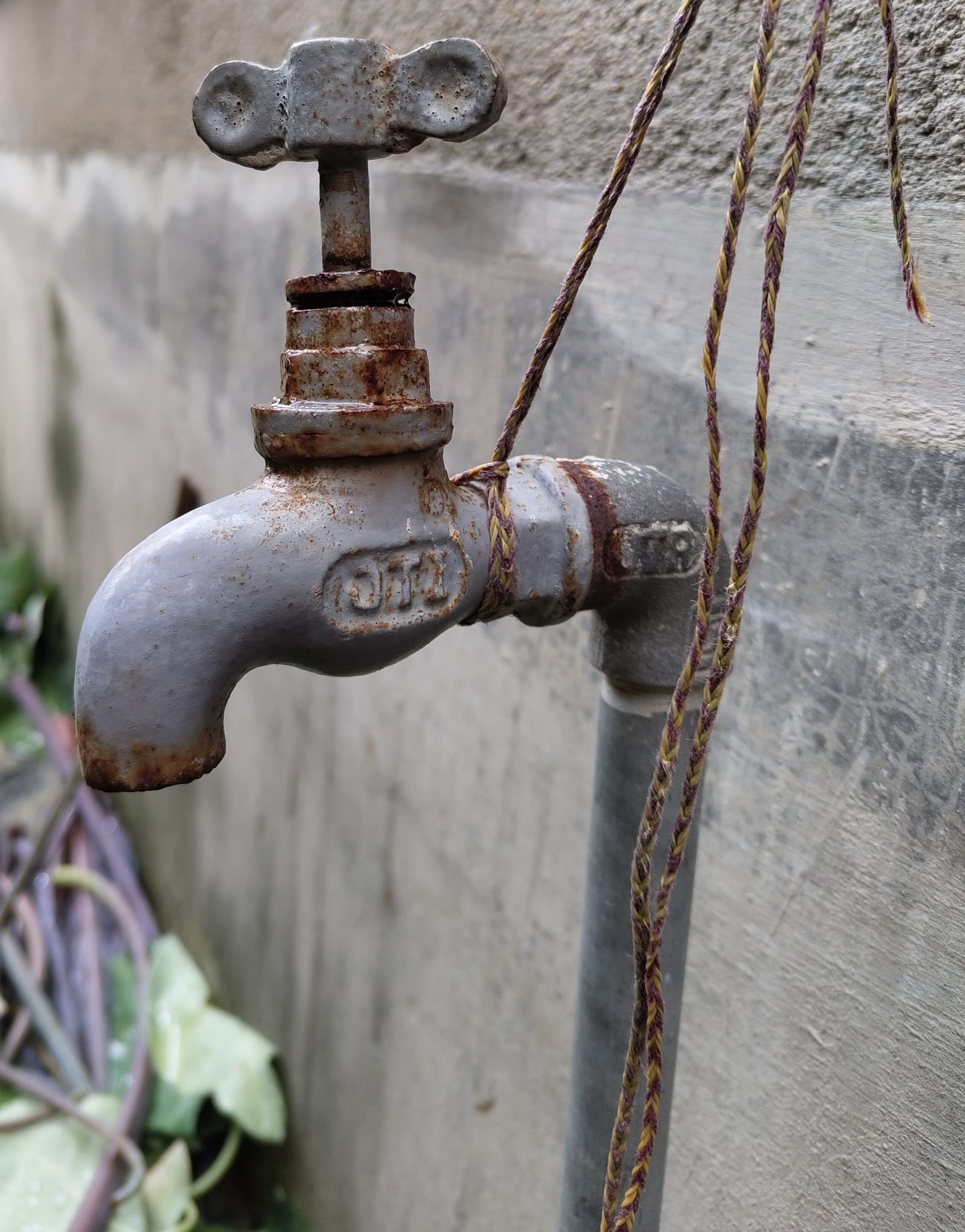 पाइप है, टोंटी है… लेकिन पानी गायब: लेफ्ट बैंक और कल्याणीश्वरी की हकीकत